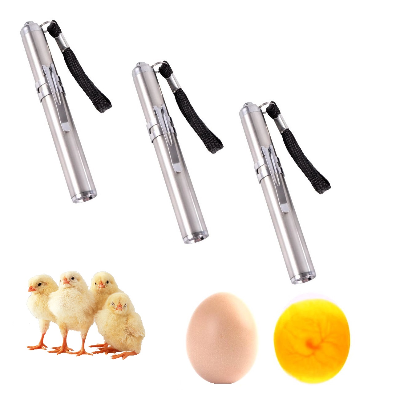 3 Lámparas para ovoscopia